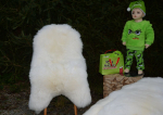 Sonderposten Swet Baby Lammfelle
